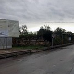 Dall'11 al 15 aprile divieto di sosta e fermata su via Bisceglie