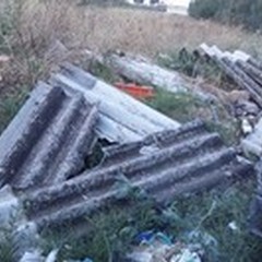 Degrado in via Vecchia Barletta, la denuncia di  "Libertà è partecipazione "