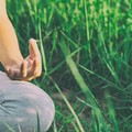 "Traiettorie di un giorno ", percorso sonoro con l'associazione "Yoga per Tutti "