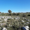 La Murgia per tutti, escursioni nel parco anche per disabili