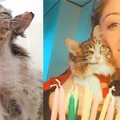 La storia stupenda di  "Mezzo faccino " targata Enpa Barletta e clinica Andriavet