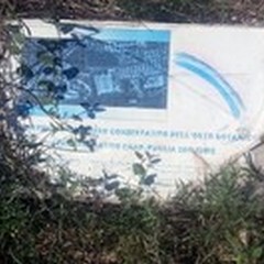 Orto botanico, aggiudicata gara per il recupero e la riqualificazione