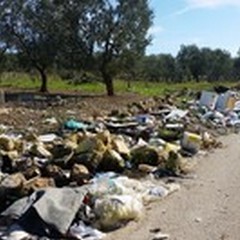 Rifiuti abbandonati, da luglio elevate circa 90 multe