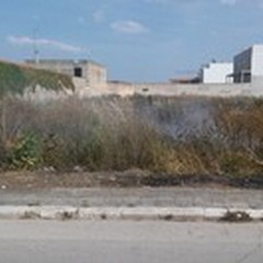Incendio nella zona Pip di Andria: a fuoco sterpaglie in via Stazio