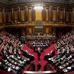 Il Lotti Umberto I al Senato della Repubblica