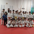 Ottimi risultati per la New Dimension Judo di Andria al Gran Prix  "Matera Capitale Europea "