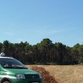 Nove andriesi denunciati dai Carabinieri forestali mentre andavano a spasso sulla Murgia