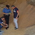 Aumentano i sequestri di prodotti agroalimentari tarocchi