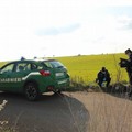 Paventata perdita sede dei Carabinieri Forestali, AndriaLab 3: «Previsti nuovi interventi per dare nuova vita all'immobile»