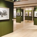L’arte incisoria di Federica Galli in mostra presso il Museo Diocesano di Andria