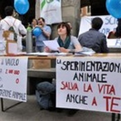 Sperimentazione animale: questo sconosciuto (Parte I)