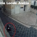 Individuato il ladro che aveva rubato una borsa ad una donna durante una manifestazione