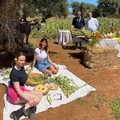 1° Maggio: gite e picnic per 32% pugliesi. Molto gettonato il barbecue, ma anche fave e pecorino
