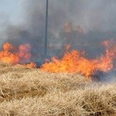 Un'ordinanza sindacale per la bruciatura di sfalci e potature vegetali