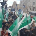 Precari della sanità, Di Bari (M5S):  "No ai precari di serie A e di serie B "