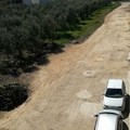 Tra buche, animali, sterrato e scarsa illuminazione. Così si vive in zona S. Giuseppe Artigiano
