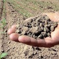 Mancanza d'acqua, depuratore di Andria chiuso per ritardo allaccio ENEL