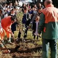 Celebrata la Festa dell'Albero al Circolo didattico "Rosmini "