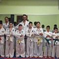 Cinque piazzamenti sul podio per l'Universal Gym di Andria al "Taekwondo Itf International Challenge "