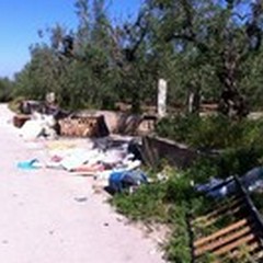 Abbandono di rifiuti, arrivano altre multe grazie alle  "foto trappole "