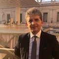 Olio d'oliva, positivo lo sblocco degli 8 milioni per i frantoi e le cooperative pugliesi
