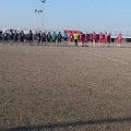 Virtus Andria sconfitta in casa 1-2 dal Real Sannicandro