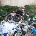 Bilancio regionale: Marmo e Zinni presentano emendamento per interventi nel canale Ciappetta-Camaggio