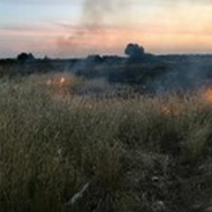 Vasto incendio in contrada Cariati di Sopra