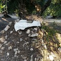 Furti di auto, tra gli ulivi “gli arnesi del mestiere”