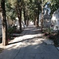 Ancora senza luce le centinaia di lampade votive al Cimitero di Andria