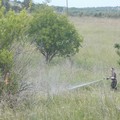 Incendio di terreno incolto in contrada Posta di Grotte