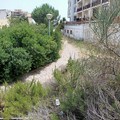 Insorge il cdx di Andria: «Erbacce in città ed ecosostenibilità: dal sindaco Bruno "lezione " discutibile ed imbarazzante”»