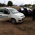 Ad Andria cabina di regia contro furti di olive e per scorte ai carichi di olio