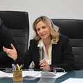Xylella, on. Matera (FdI): «Gestione infausta del problema in otto anni da parte di Emiliano. Il Governo monitora»