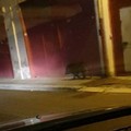 Grosso cinghiale avvistato alla periferia di Andria. Il VIDEO