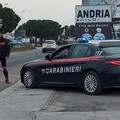 Estorsioni, danneggiamenti, incendi e furti tra Andria e Minervino Murge: vasta operazione dei Carabinieri