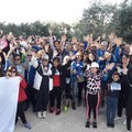 Torna ad Andria la 7^ edizione della "Camminata tra gli olivi "
