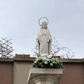 Gennaro Gino Piccolo: "L’Immacolata, Modello Perfetto "