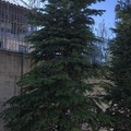Andria Bene in Comune: l’albero di natale si accende dei pensieri e addobbi dei cittadini