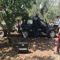 Furti nelle campagne della Bat. Di Bari (M5S): “Agricoltori vanno sostenuti”