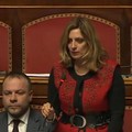 Ordine pubblico, sen. Piarulli (M5S): "Potenziamento organici Forze dell'ordine nel nord barese "
