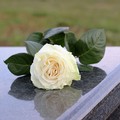 Non ce l'ha fatta il 20enne andriese rimasto gravemente ustionato