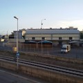 Mercato ortofrutticolo affidato in gestione, la lettera del Comune spiazza i grossisti