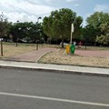 Andria ed i positivi esempi di messa a dimora degli alberi