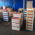 Bando assegnazione posteggi al Mercato Ortofrutticolo: scadenza l’8 maggio