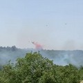 Incendi boschivi, Montepulciano: "Crimine contro l'umanità "