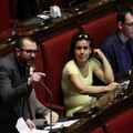 Camera dei Deputati approva o.d.g. su questione gelate: primo firmatario l'on. D'Ambrosio (M5S)