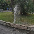 Cappuccini: danneggiato l'impianto di irrigazione delle aiuole, acqua dispersa tra i vialetti