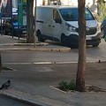 Desolante conferma: via Annunziata ancora cosparsa di buste di immondizia
