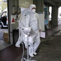 Bat, in un anno di pandemia il 5% della popolazione ha contratto il Covid